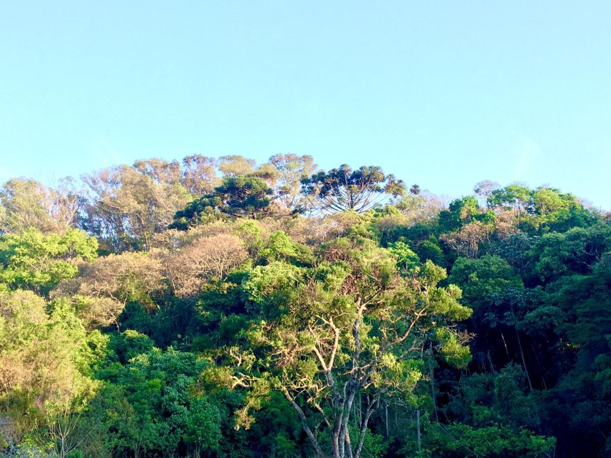 Sitio Belucci Bed & Breakfast ปินญาลซินโญ ภายนอก รูปภาพ