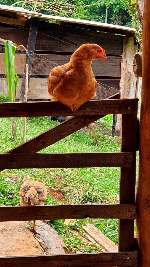 Sitio Belucci Bed & Breakfast ปินญาลซินโญ ภายนอก รูปภาพ